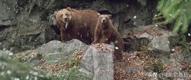 ����9.1�֣���ʵ�¼��ı࣬�ⲿ���ص�Ӱ���ҿ�һ�ο�һ��