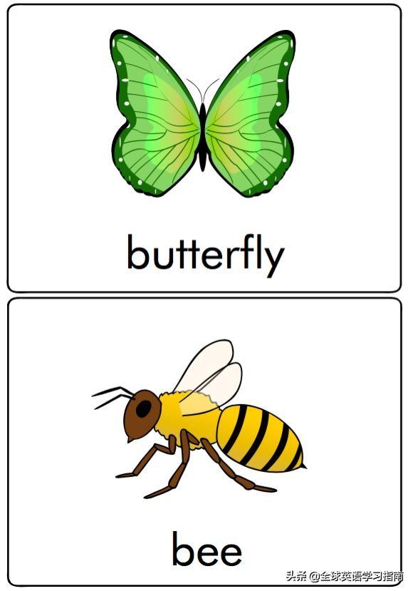 图片[28]-113张图让你记住所有动物类英语单词，分类汇总，建议收藏起来-笑傲英语网