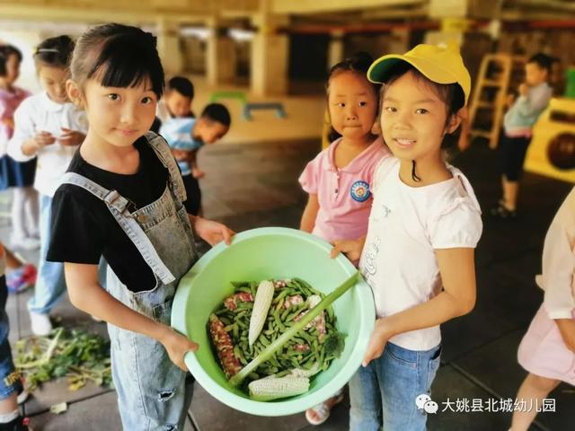 幼兒園自然教育與勞動實踐：“開心菜園”里的故事
