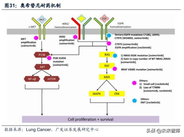 医药行业专题：第三代EGFR-TKI药物，第一大癌症造就百亿市场