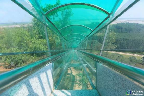 孤柏渡黄河塬休闲旅游区