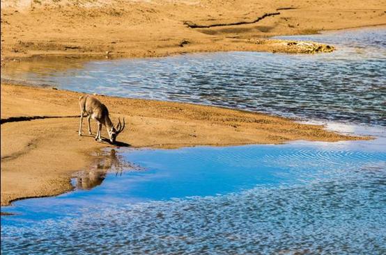 失联女学生遗骸被发现，美丽的可可西里为何被封为无人区？