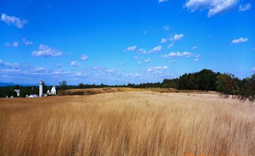 我国采购110万吨美国大豆，巴西慌了，阿根廷的骚操作太上头