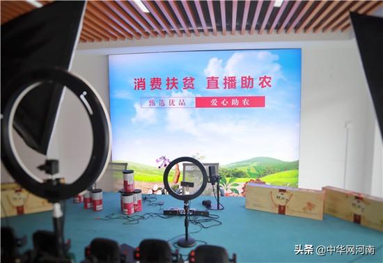 「决胜2020河南更出彩」李芳：四大怀药 谱写乡村振兴协奏曲