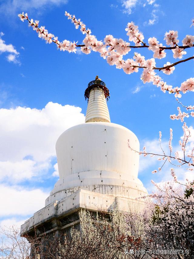 北海公园有着怎样的故事、风景和玩法？这篇攻略会告诉您答案