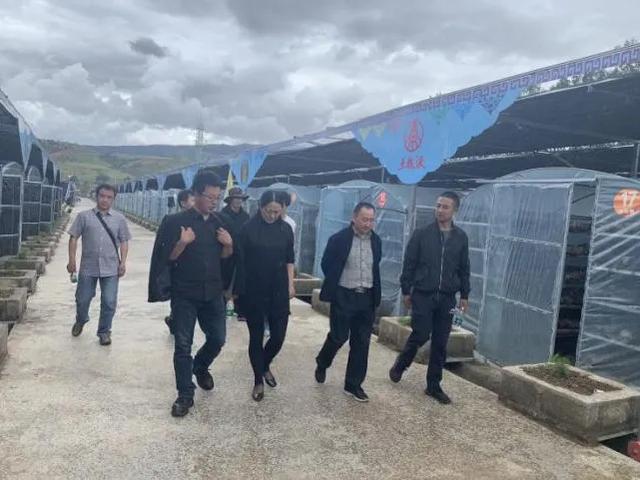 【甘孜】州知新会：建功立业新时代 科技专家走基层