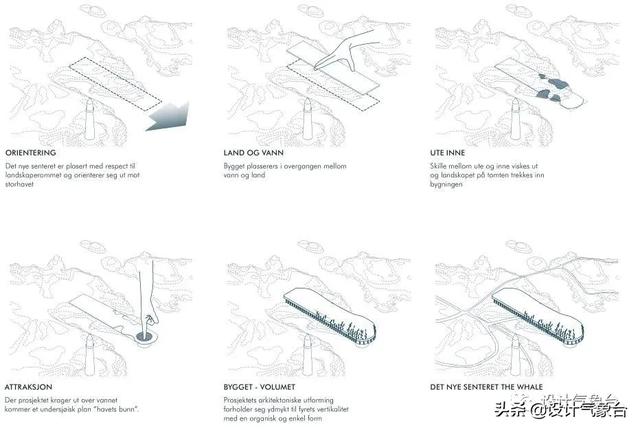 BIG惜败！再牛的方案也比不过一头鲸