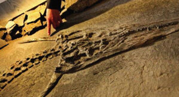 [山里]贵州回应山里有龙吟 别闹了！不是龙