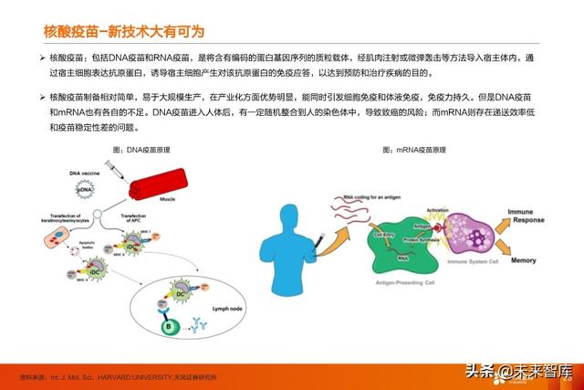 疫苗行业深度报告：新冠疫苗谁将拔得头筹