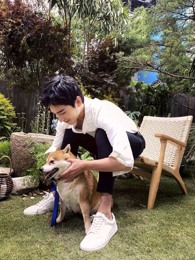 杨洋又有新综艺，确认加入《元气满满的哥哥》了