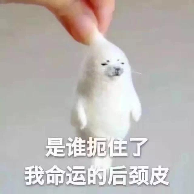 中方将反击打压苹果、高通？看看特朗普的骚操作吧