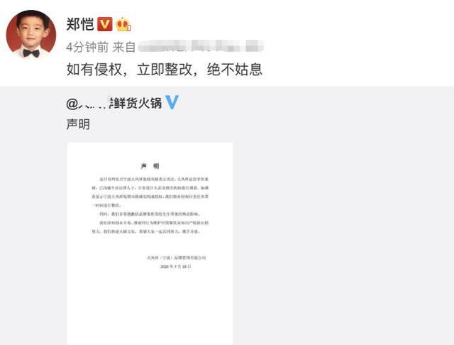 刚开店就要黄？郑恺火锅店装修全靠抄袭，他的