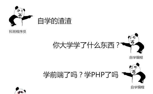 一张图告诉你，科班程序员和 自学编程的差别在哪 网友：真实