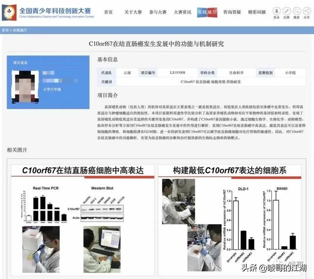 “小学生研究癌症获奖”：总有些路要让孩子自己走