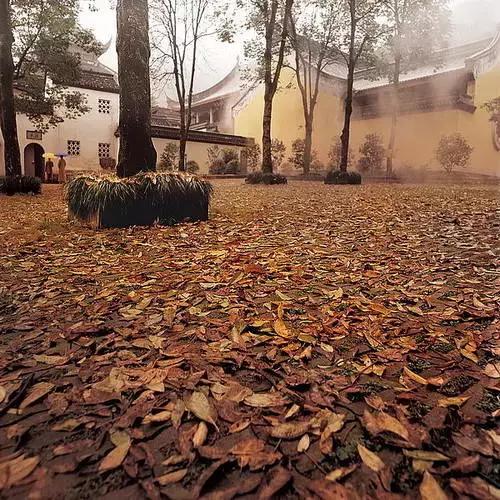 Ψһ��𽱵ķ����Ӱ��̫����ˣ�