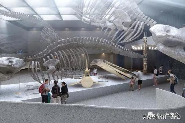 BIG惜败！再牛的方案也比不过一头鲸