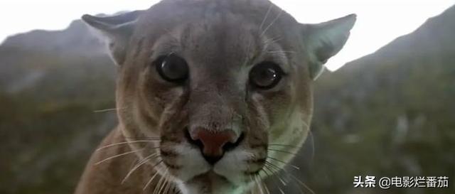 ����9.1�֣���ʵ�¼��ı࣬�ⲿ���ص�Ӱ���ҿ�һ�ο�һ��