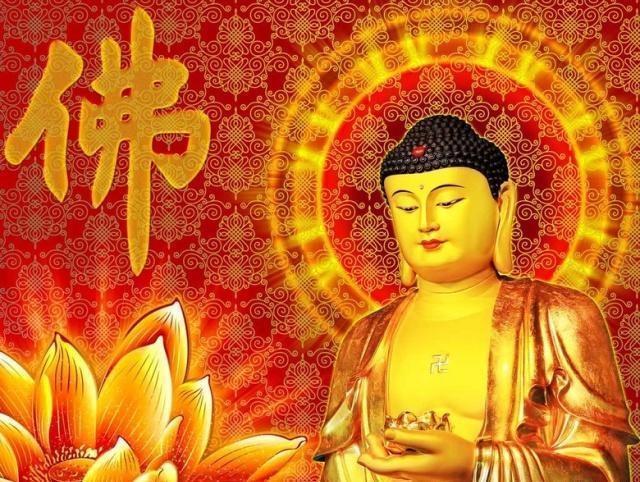 ��Ϊ�����