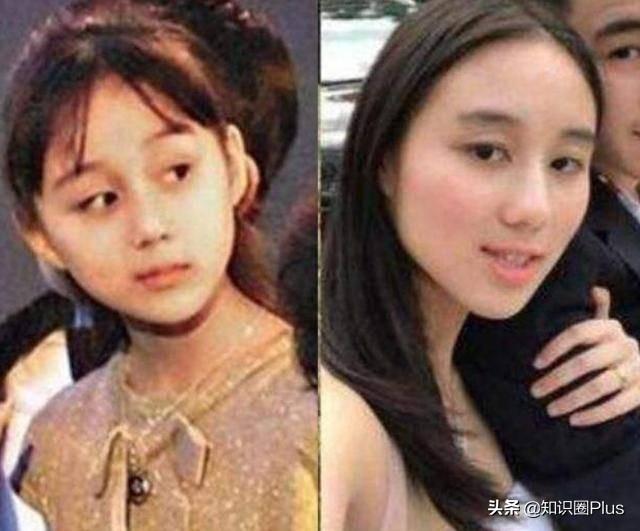 何鸿燊何氏家族悼文，留下四房十七杰，详细了