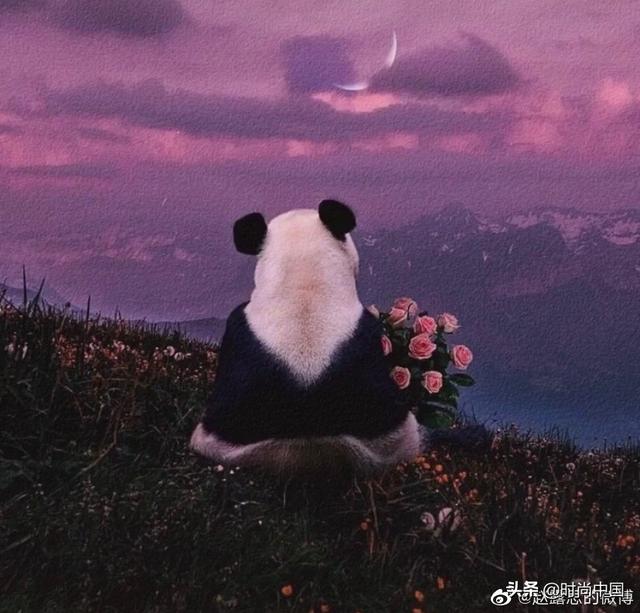 学拍毕业照｜跟李沁、张雨绮、赵露思摆“pose”，用新姿势解锁青春纪念册