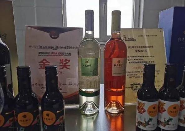楊凌農(nóng)科，見證小康足跡——2020走出楊凌看示范活動圓滿收官