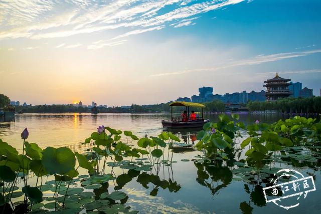 曲江卧莲台，一池荷花醉夏天