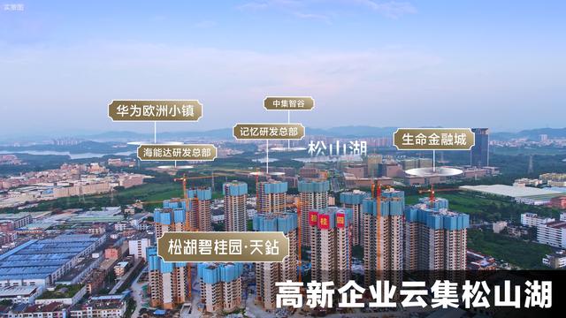 松山湖业主太飘了！有盘一夜涨价80万...