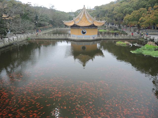 ����������-����ɽ���������ӣ�������