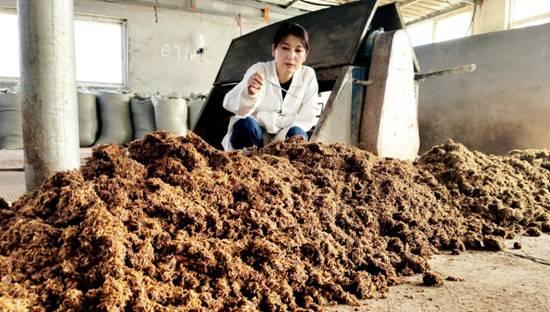 黑小麦酿酒爽口绵柔飘香万里