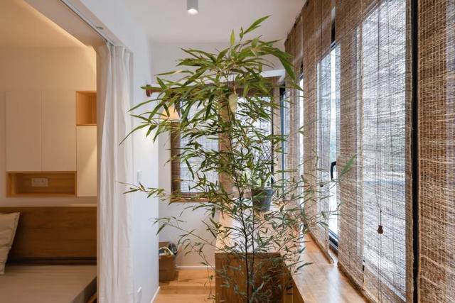 58㎡美哭我的中式学区房，暗藏收纳巨兽越住越爽