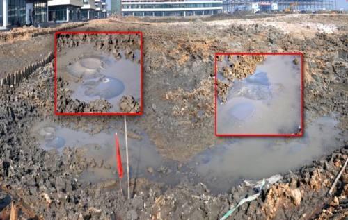 360吨|武汉采购360吨黄豆来抗洪 一遇水就发胀的黄豆？