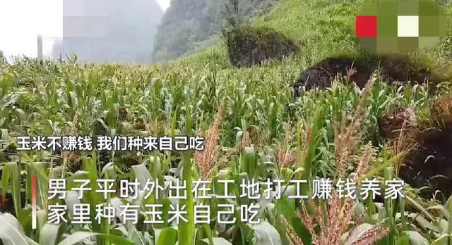 90后夫妻生9个娃肚子还有一个，妻子老成妈妈，