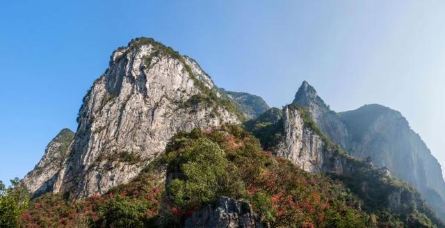 《中餐厅4》开播在即，这条宝藏路线比赵丽颖还有诱惑力