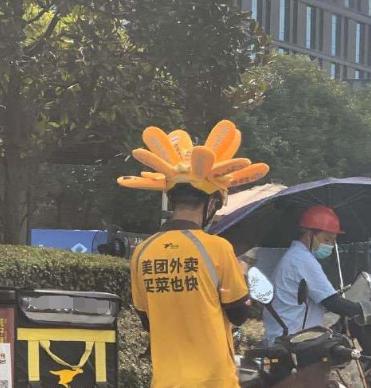 主人|盗窃欲拍晕主人结果把人打醒 迷惑！