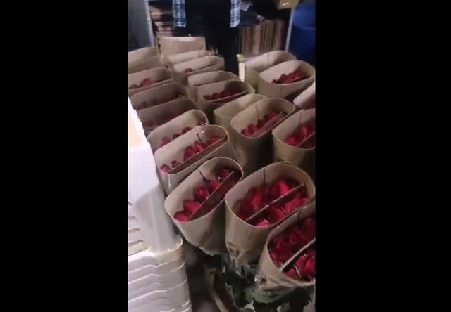 一束鲜花的进城之路：98天后，30%鲜花凋谢在路上