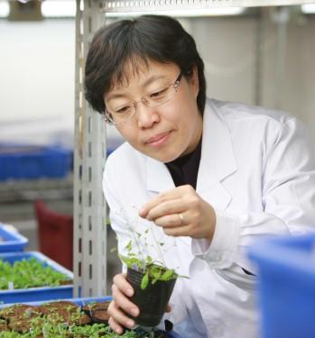 美国科学院公布新一批院士名单，中科院曹晓风