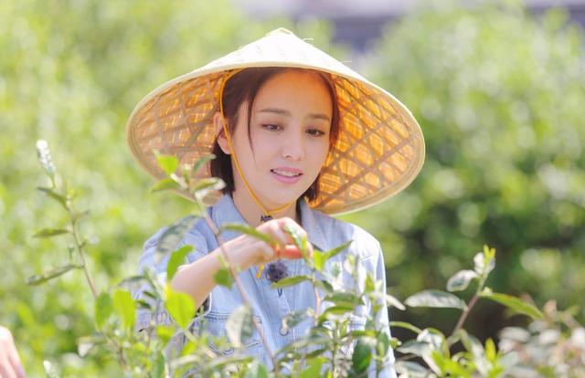 女艺人不想录制综艺，何炅发来一条短信：无法拒绝