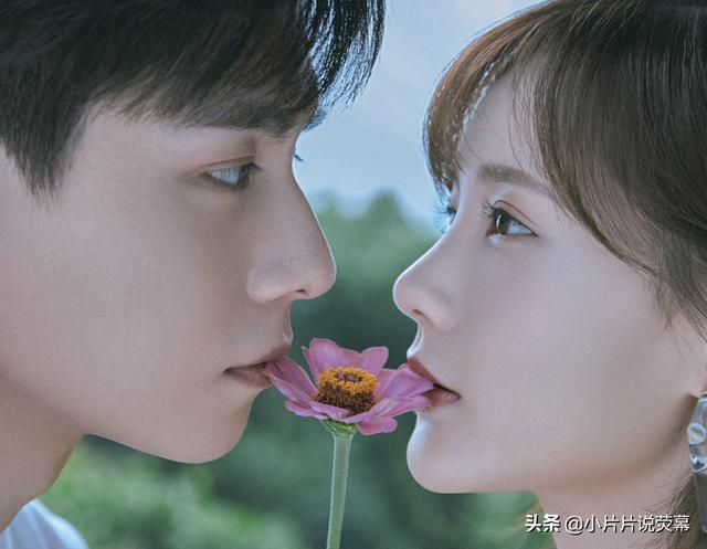 5年拍20部电视剧，每部都是女主角，她说自己不