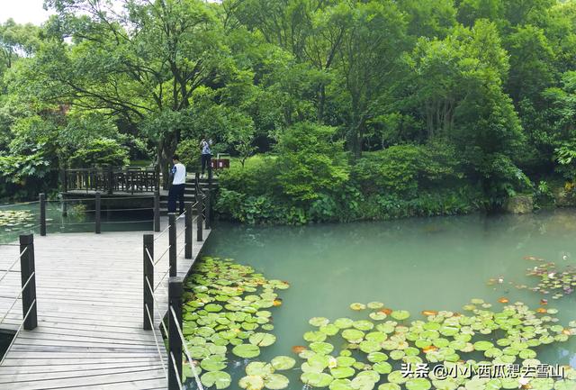 金庸笔下的世外桃源之地，拍摄过多部影视剧，