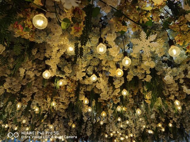 华为P40 Pro体验：用手机拍出好照片，其实真的很