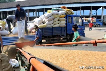 所谓的农村首富都是经营什么产业？究竟小康还