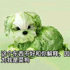 7个强大的office外挂插件神器，免费又好用，复杂操作一键搞定