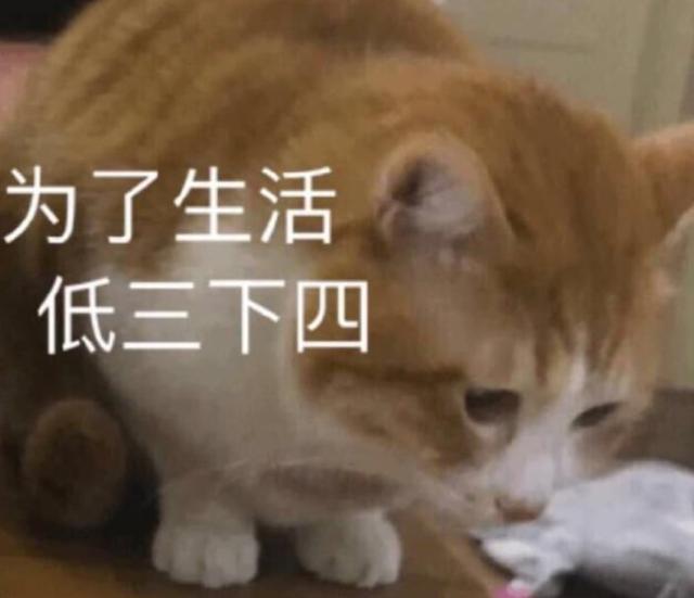 变着法处罚员工？生吃蚯蚓、喝厕所水、跪地爬