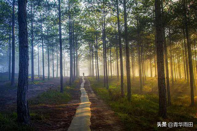 你只管優秀，幸運已在路上