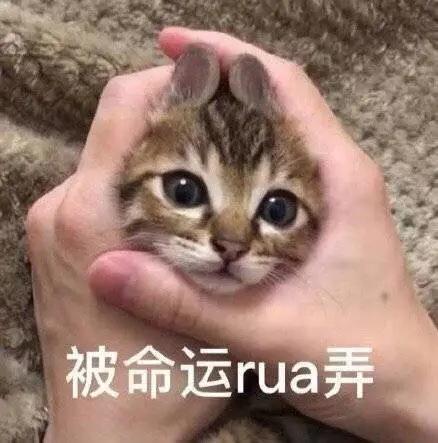 շСá߽񷨵㉘