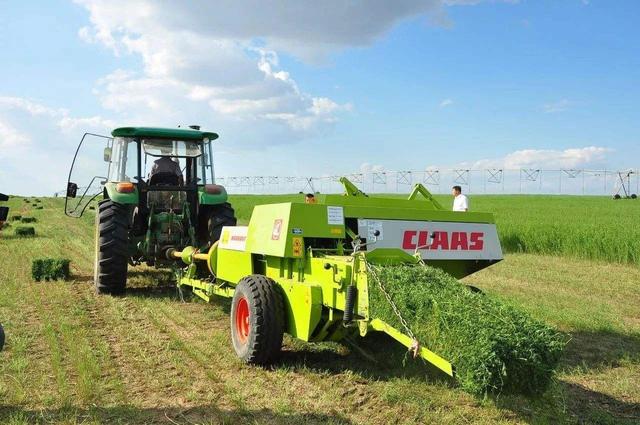 农业龙头企业是乡村发展骨干力量；有机农业的