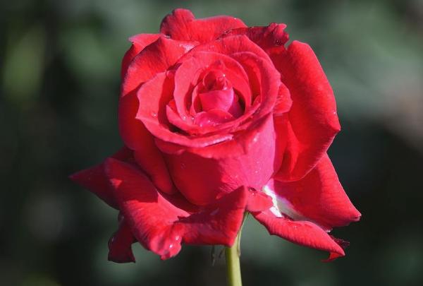 3个习惯养成了，领导喜欢你，迟早有大出息