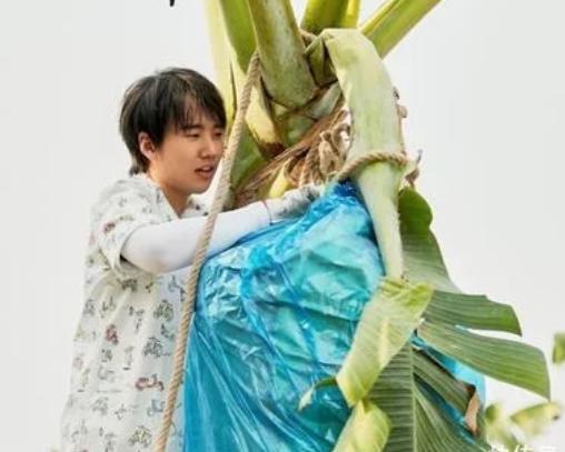 德云社厉害了！郭公子霸屏各大综艺，小岳岳上热搜，小辫广告不停