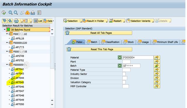 「SAP技术」SAP业务操作查询里的通配符