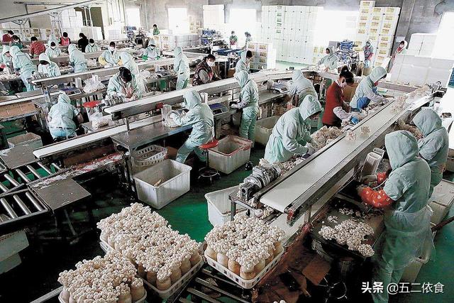 农村电商到底怎么做？4个现实问题告诉你，让农民避开雷区！
